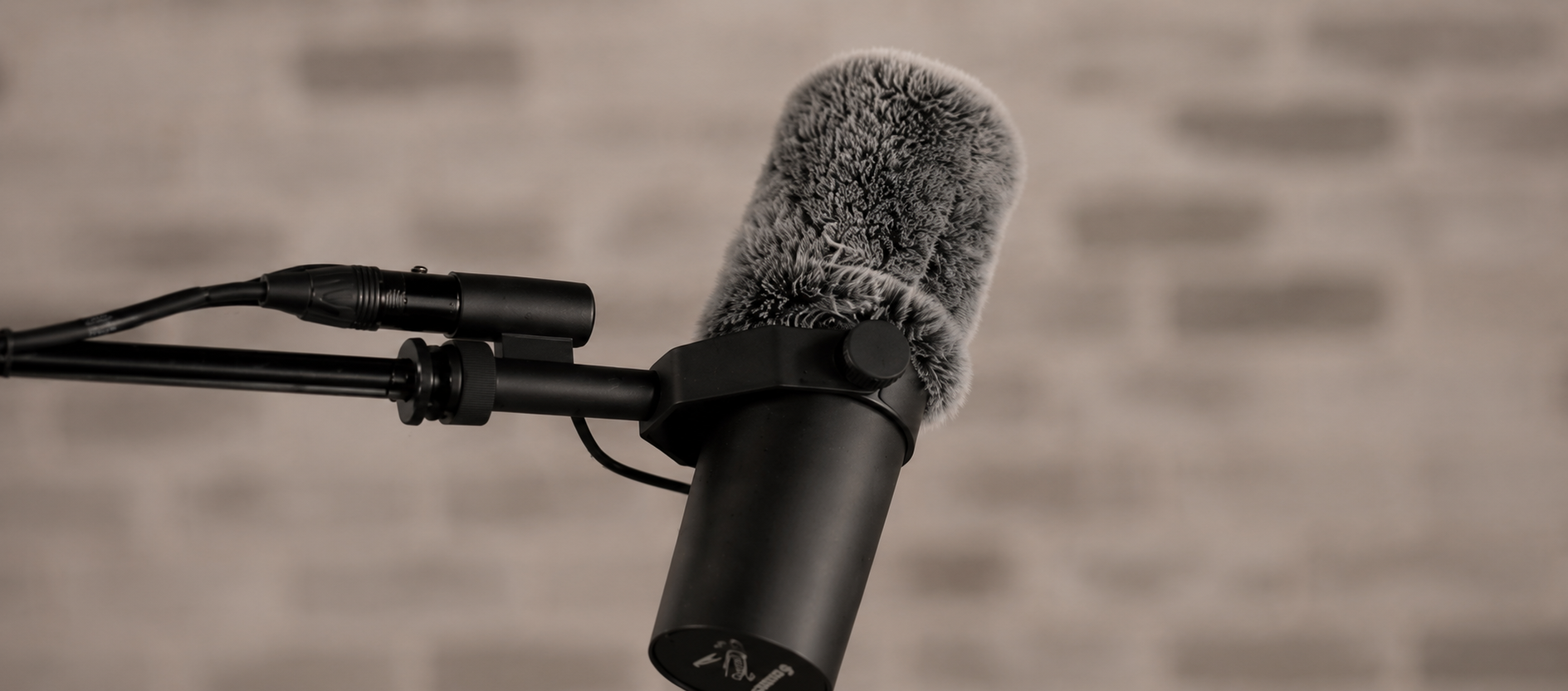 Podcast microphone